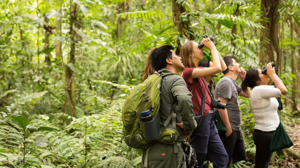 Expedition to Manu National Park