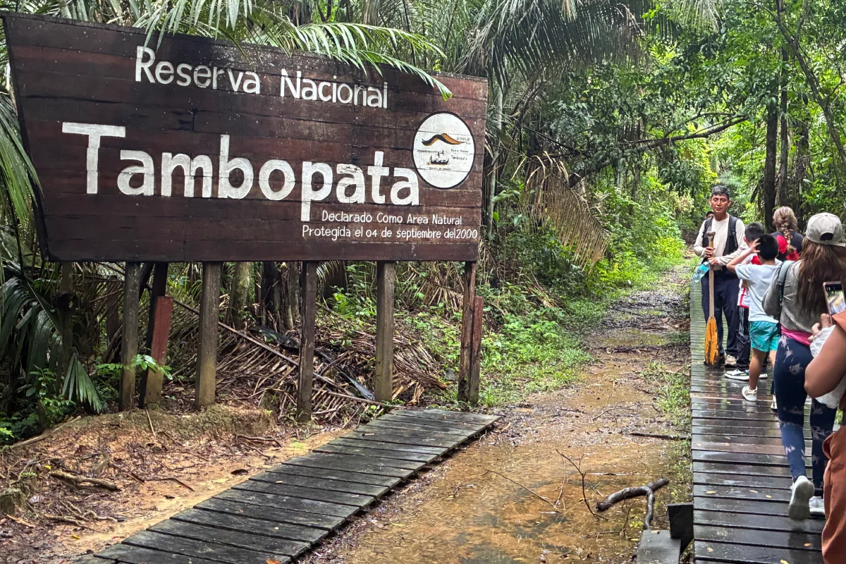 Lago Sandoval – Tambopata (7)